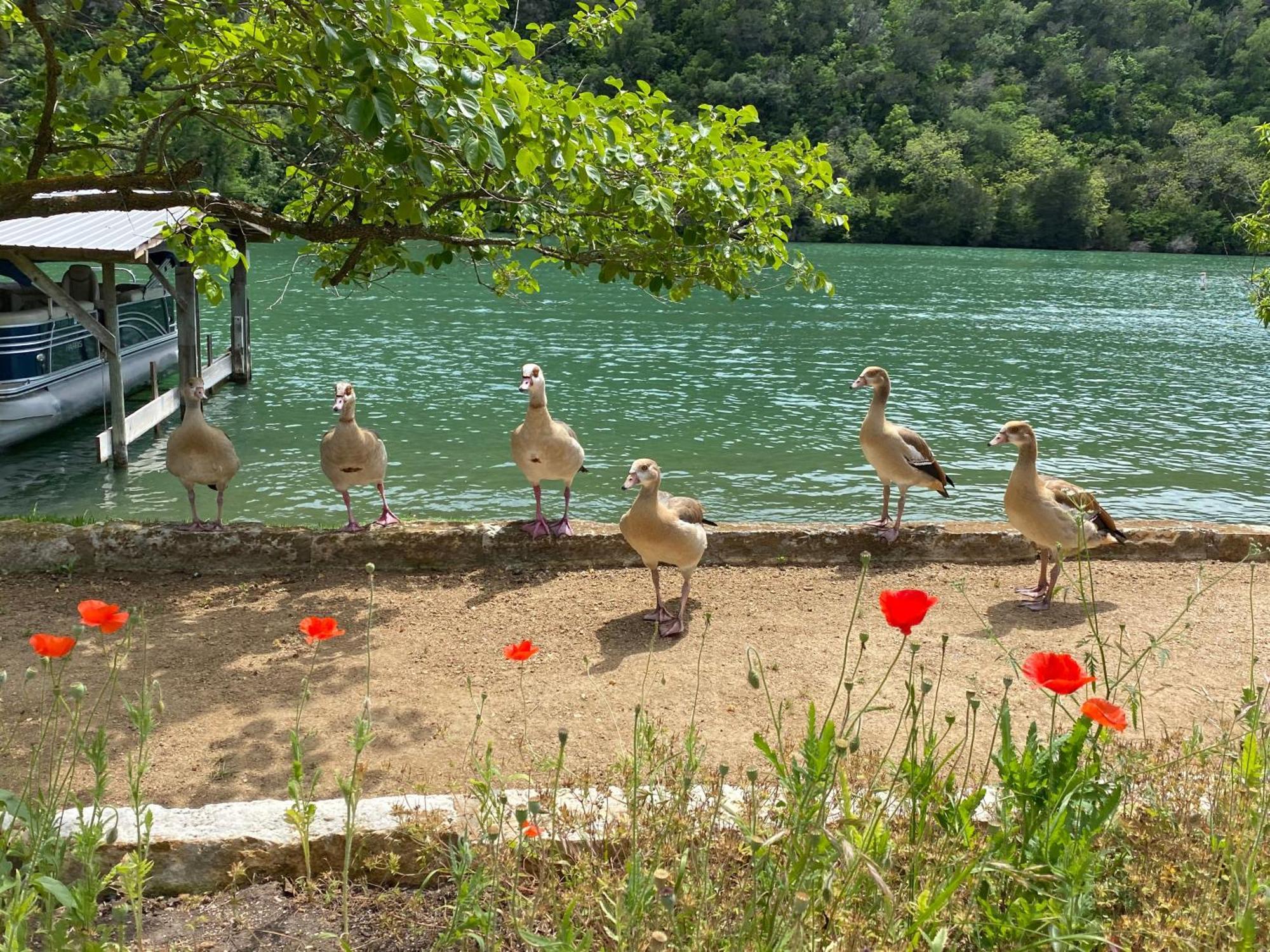 Lake Spa