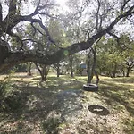 Bear Creek Modern