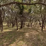The Bobcat Cabin - The Cabins At Rim Rock