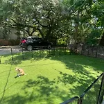 Great Central Location Downtown Austin-Fenced Area For Dogs, Near Ut