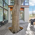 East Austin Tree House