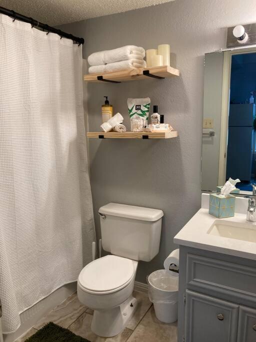 Apartment Luxury Greenhouse Studio Austin