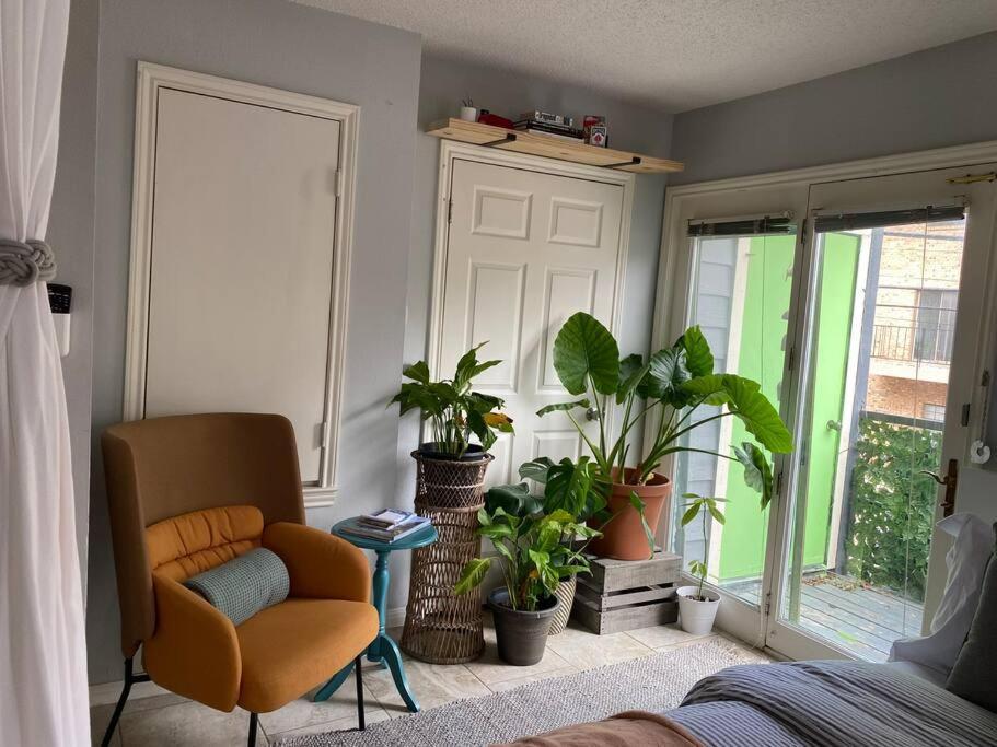 Luxury Greenhouse Studio * Austin