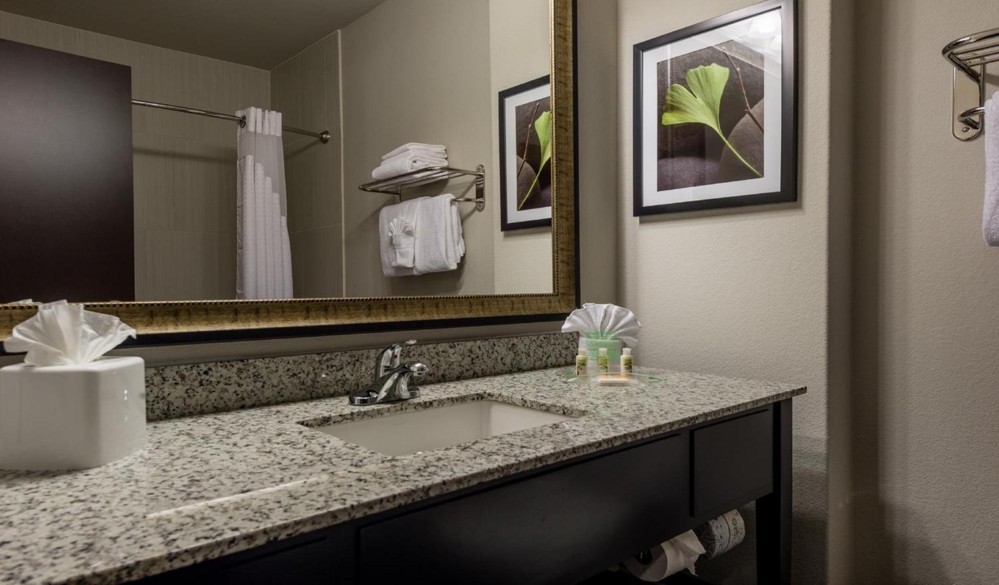 Hotel Airport By Ihg Austin