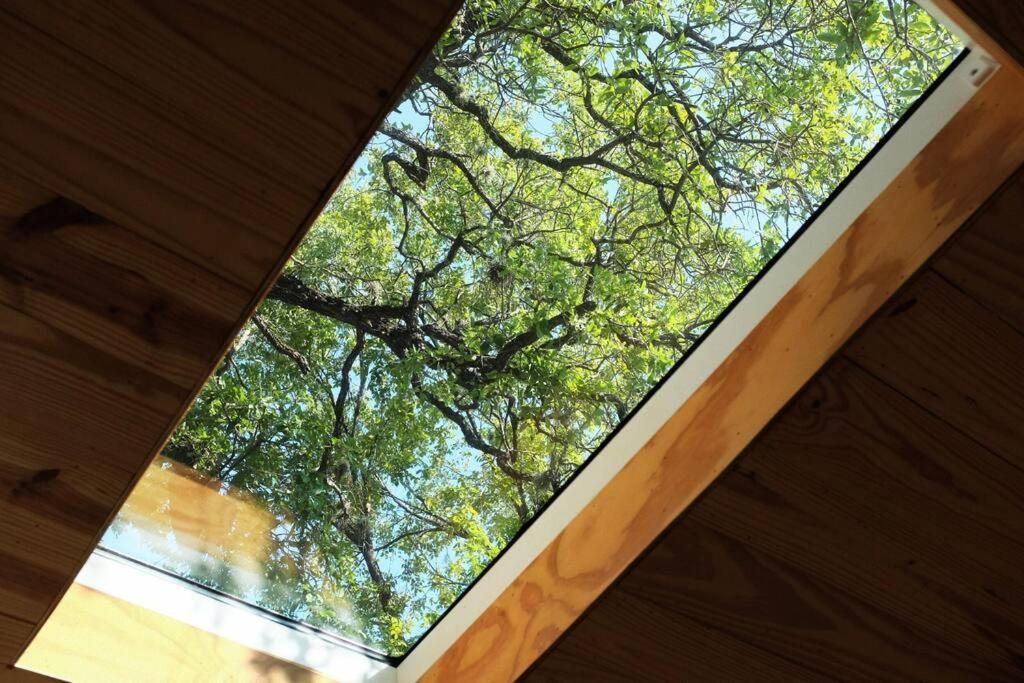 Walk To Coffee, Bars, Eats — The Cozy Holiday home *