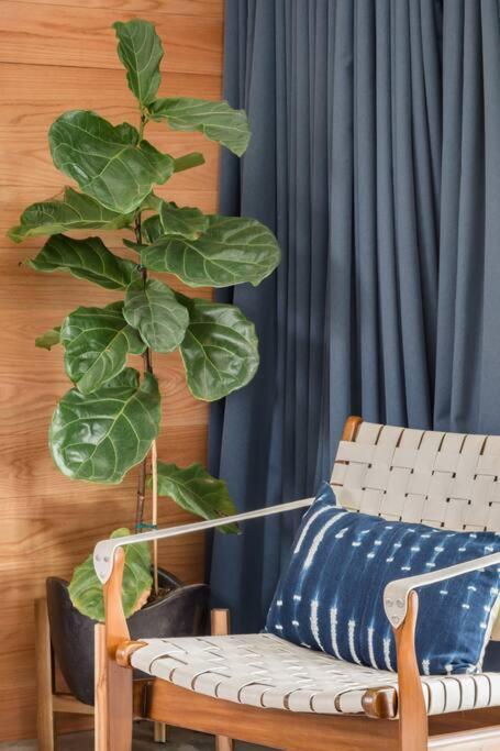Cozy Retreat Walking Distance To Downtown Austin