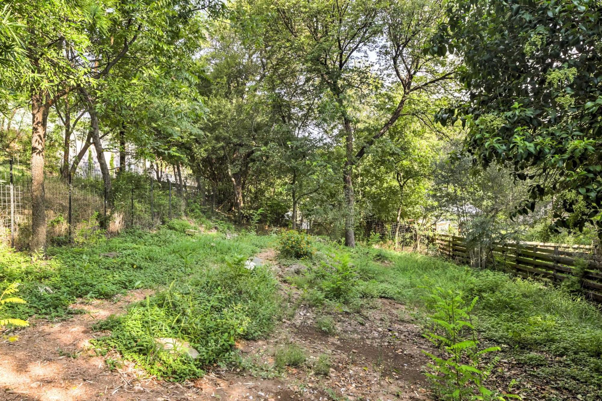 Chic East With Spacious Yard! Austin