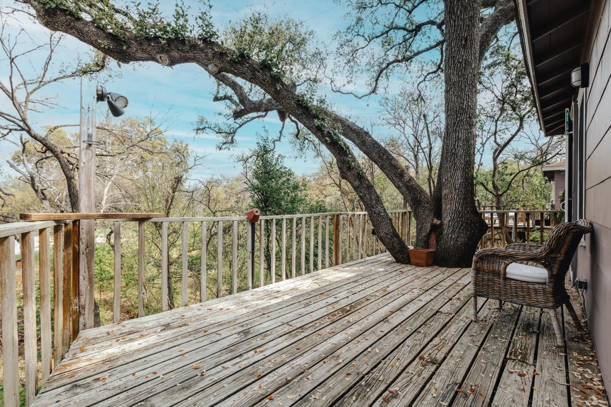 Ut Moody Twin Treehouse *