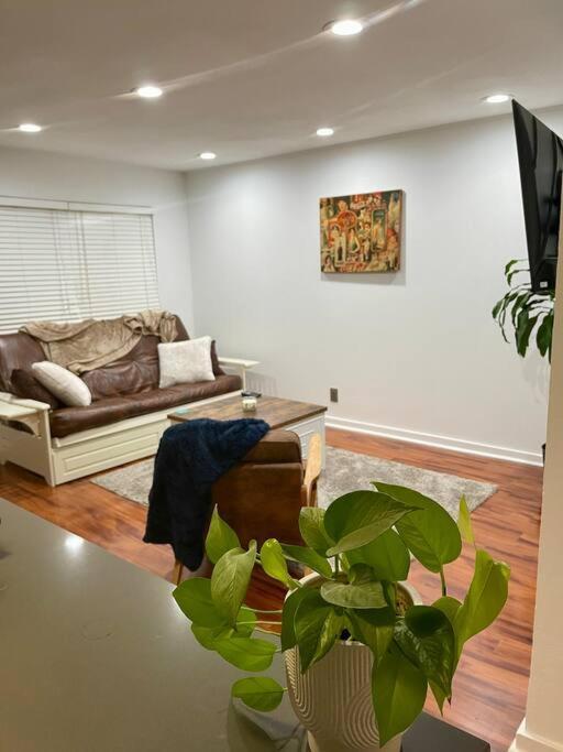 Apartment 1 Bdrm Poolside Garden Austin