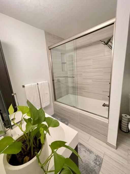 1 Bdrm Poolside Garden Apartment
