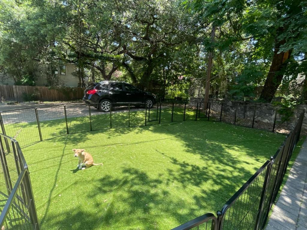 Great Location Downtown Austin-fenced Area For Dogs, Near Ut Austin