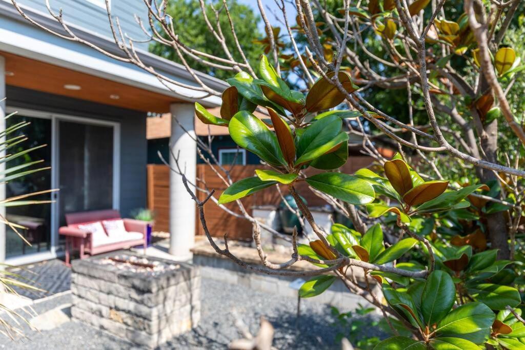 Luxury Modern In Dt Austin