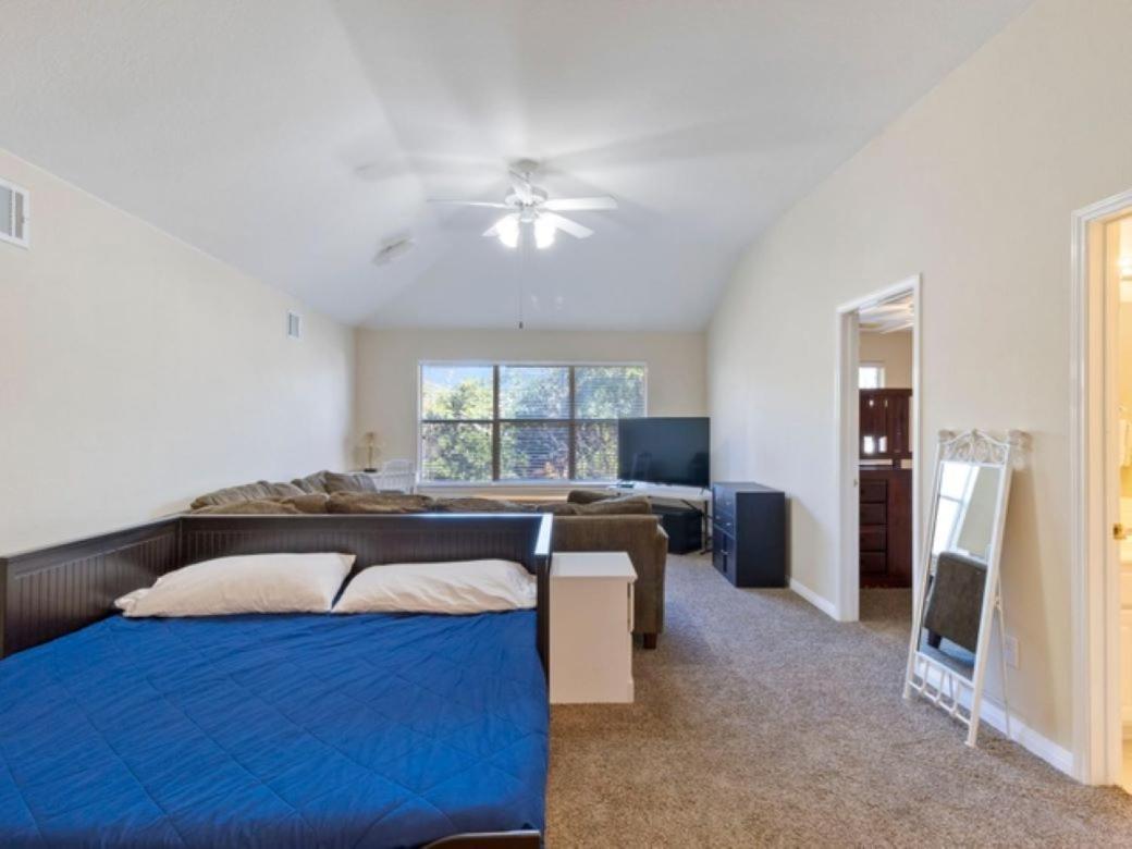 Cozy Sunterro Serenity In North Pet Friendly Apartment Austin