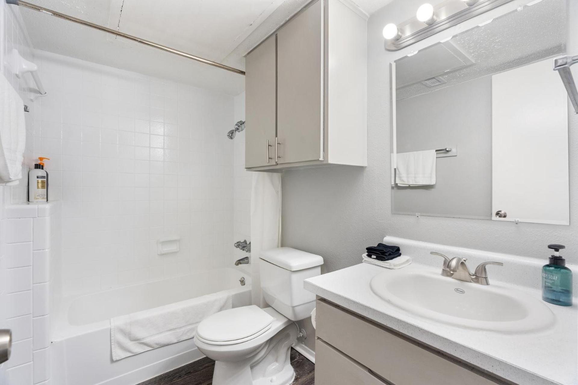 Furnished In Hydepark Austin