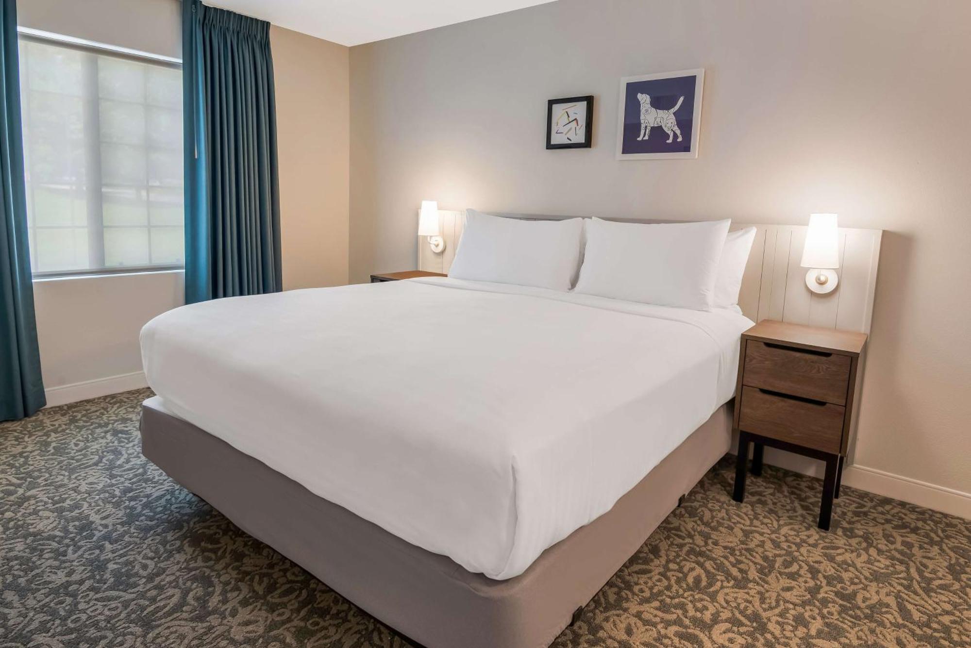 Sonesta Es The Domain Area Hotel 3*