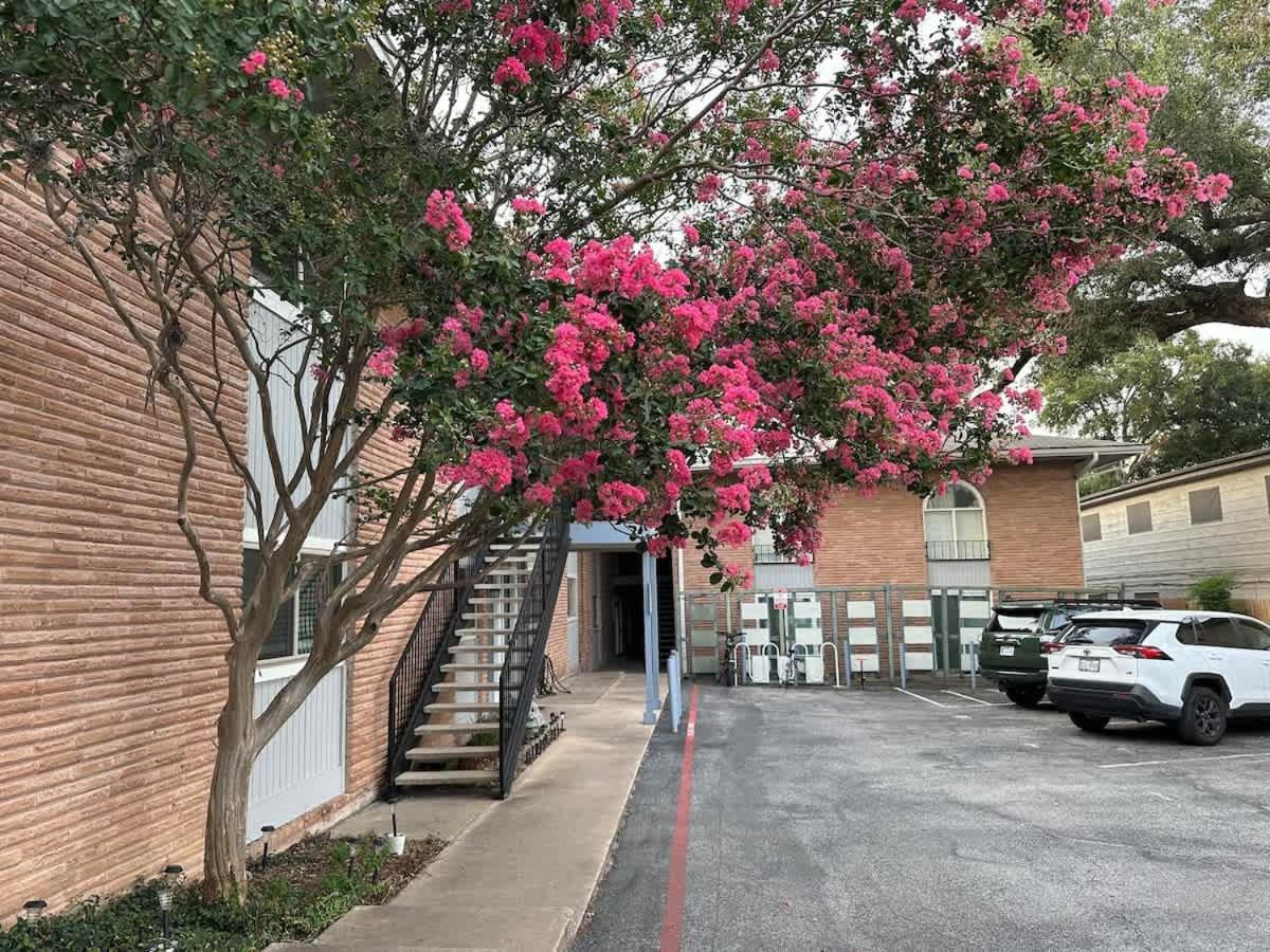 Mixed Shared - Coliving Austin