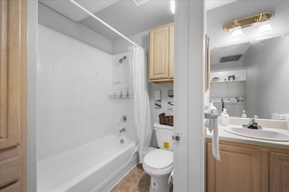 Apartment Cozy 2b 2b-pool Heart Of Austin
