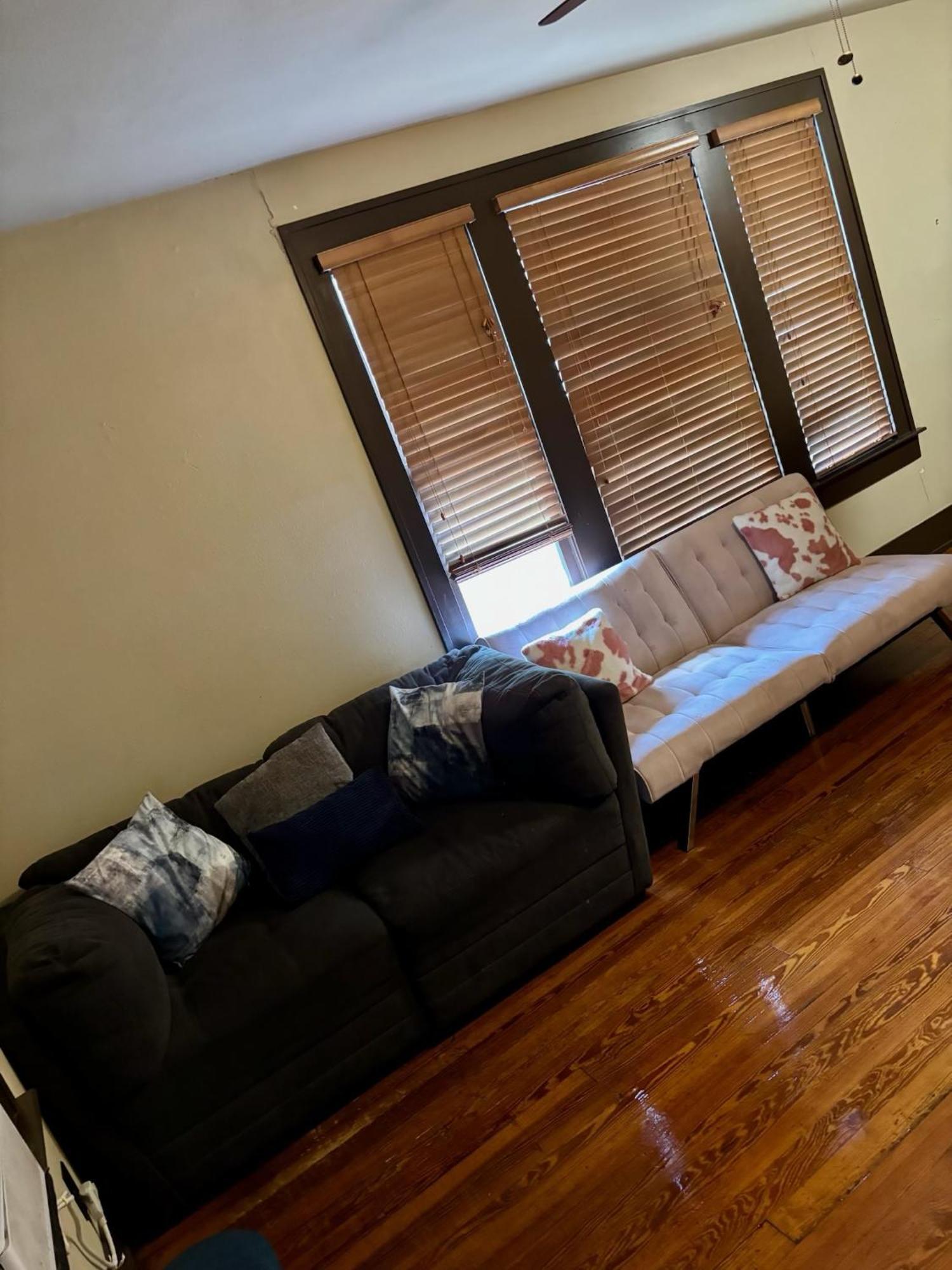 Great Location Downtown Austin-fenced Area For Dogs, Near Ut Austin