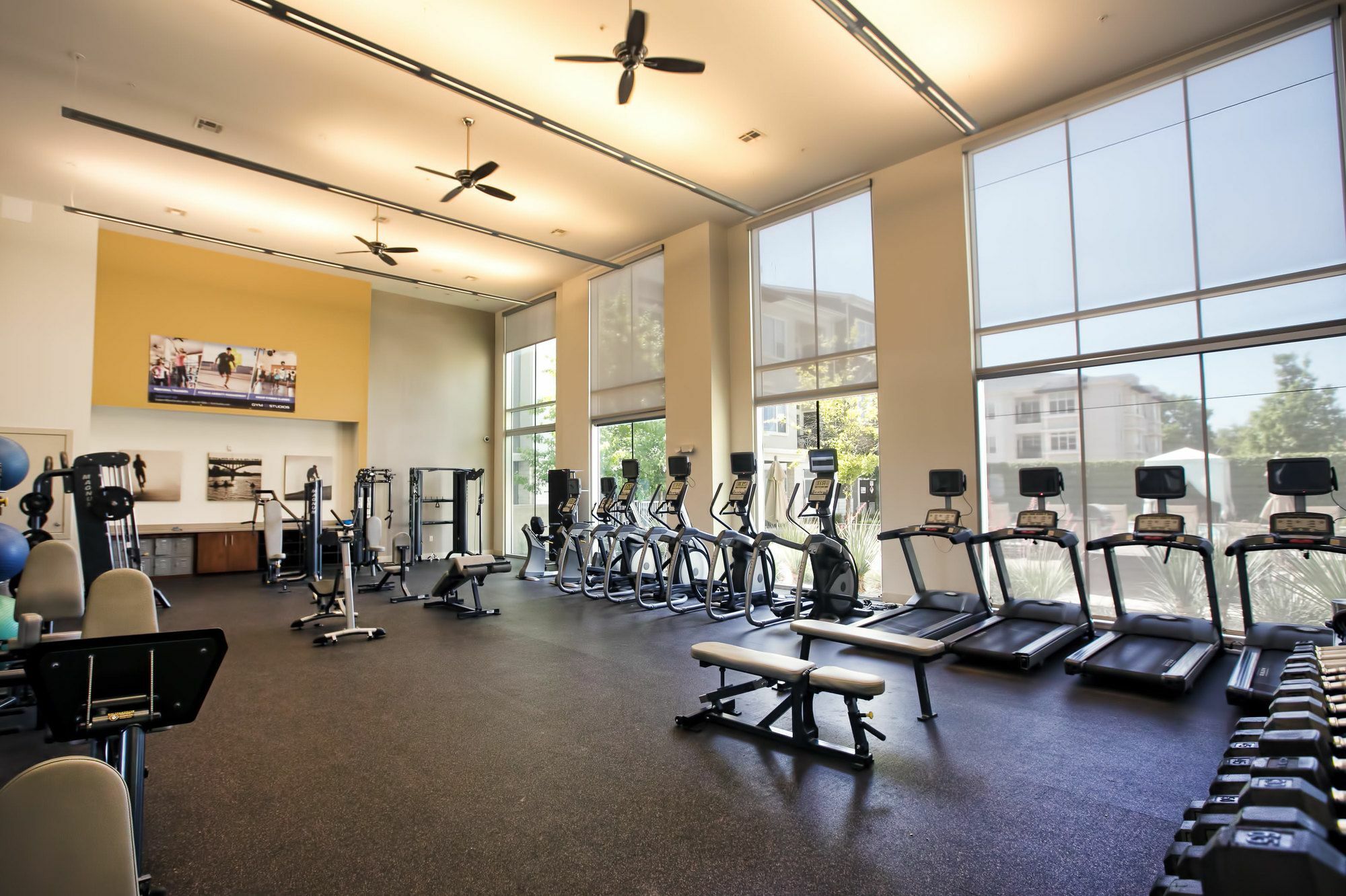 Locale Lakeshore Apartment *