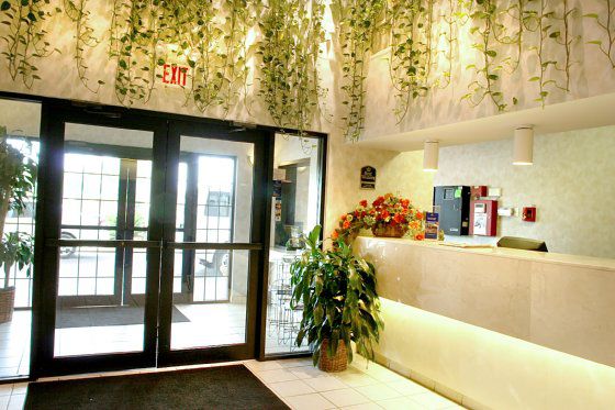 Quality & Airport Hotel 2*
