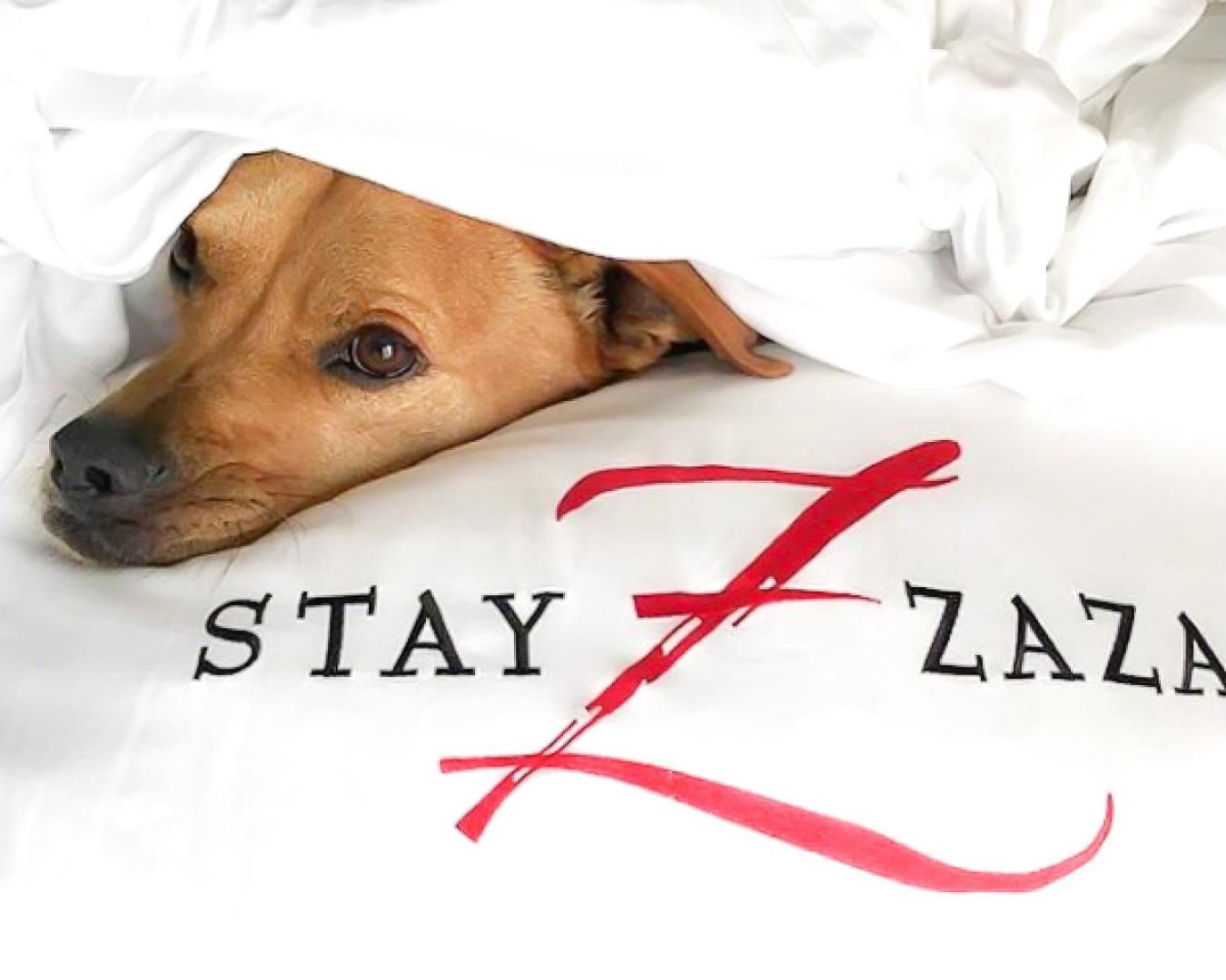 Hotel Zaza 4*