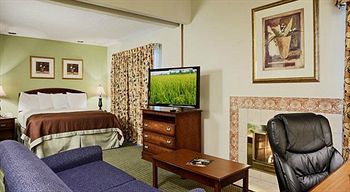 Orangewood 3*