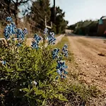 Fox Tiny Home - The Cabins At Rim Rock