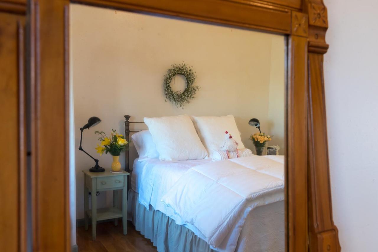 The Rivery Retreat, Choose From Luxury Or In Hill Country 4*