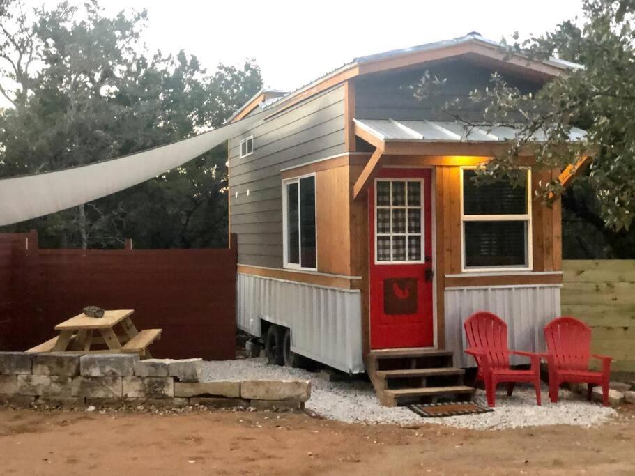 Fox Tiny - The At Rim Rock Austin