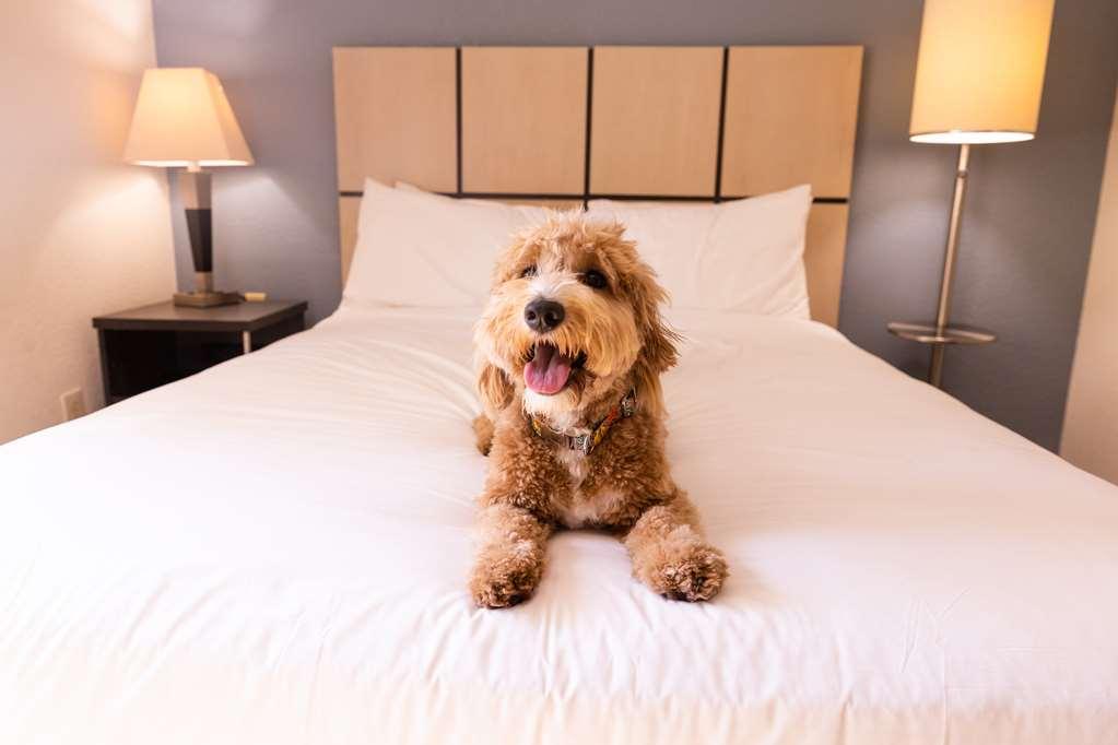 Sonesta Simply South 3* Austin