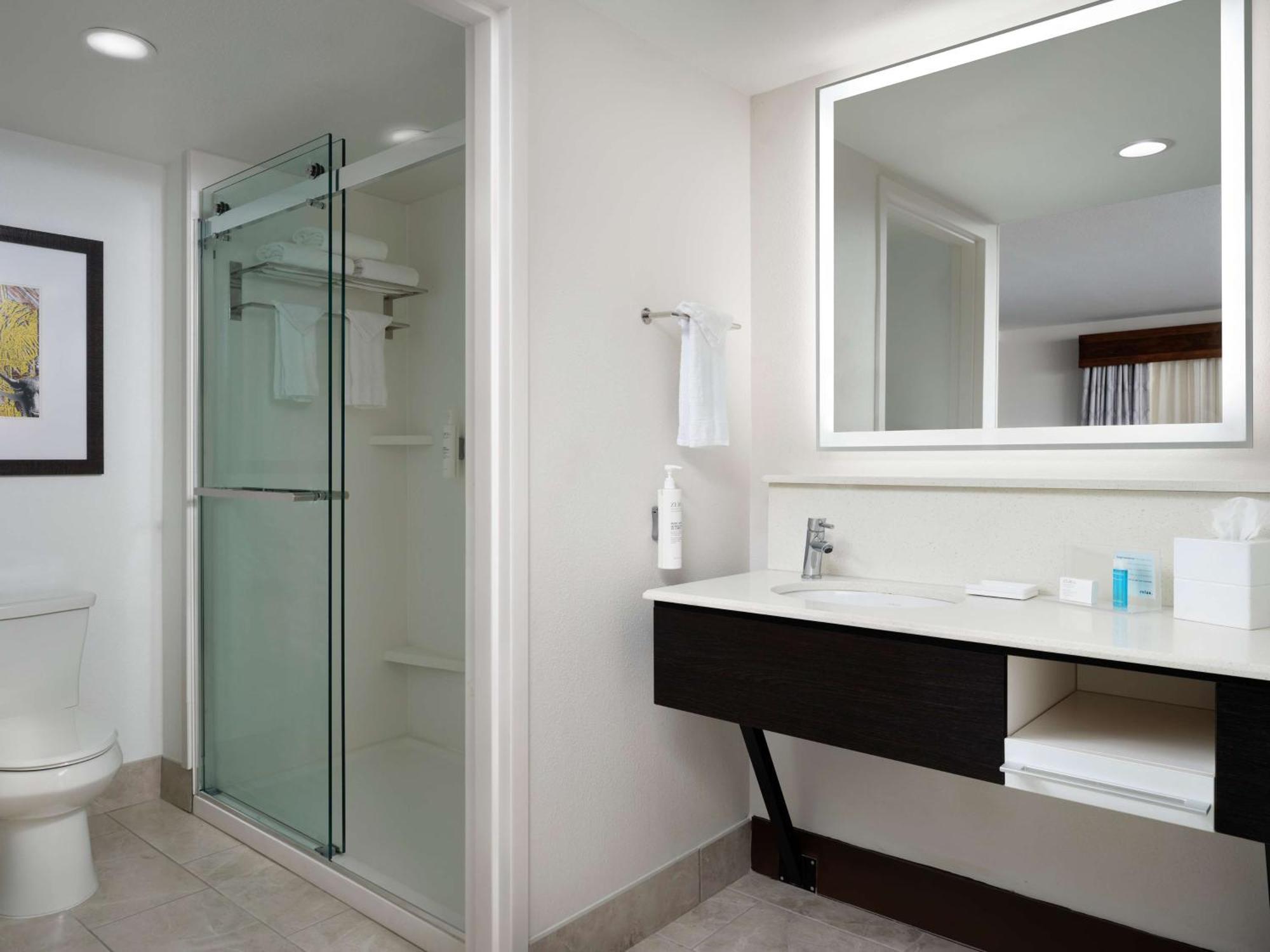 Hampton & Austin-downtown/convention Center Hotel Austin