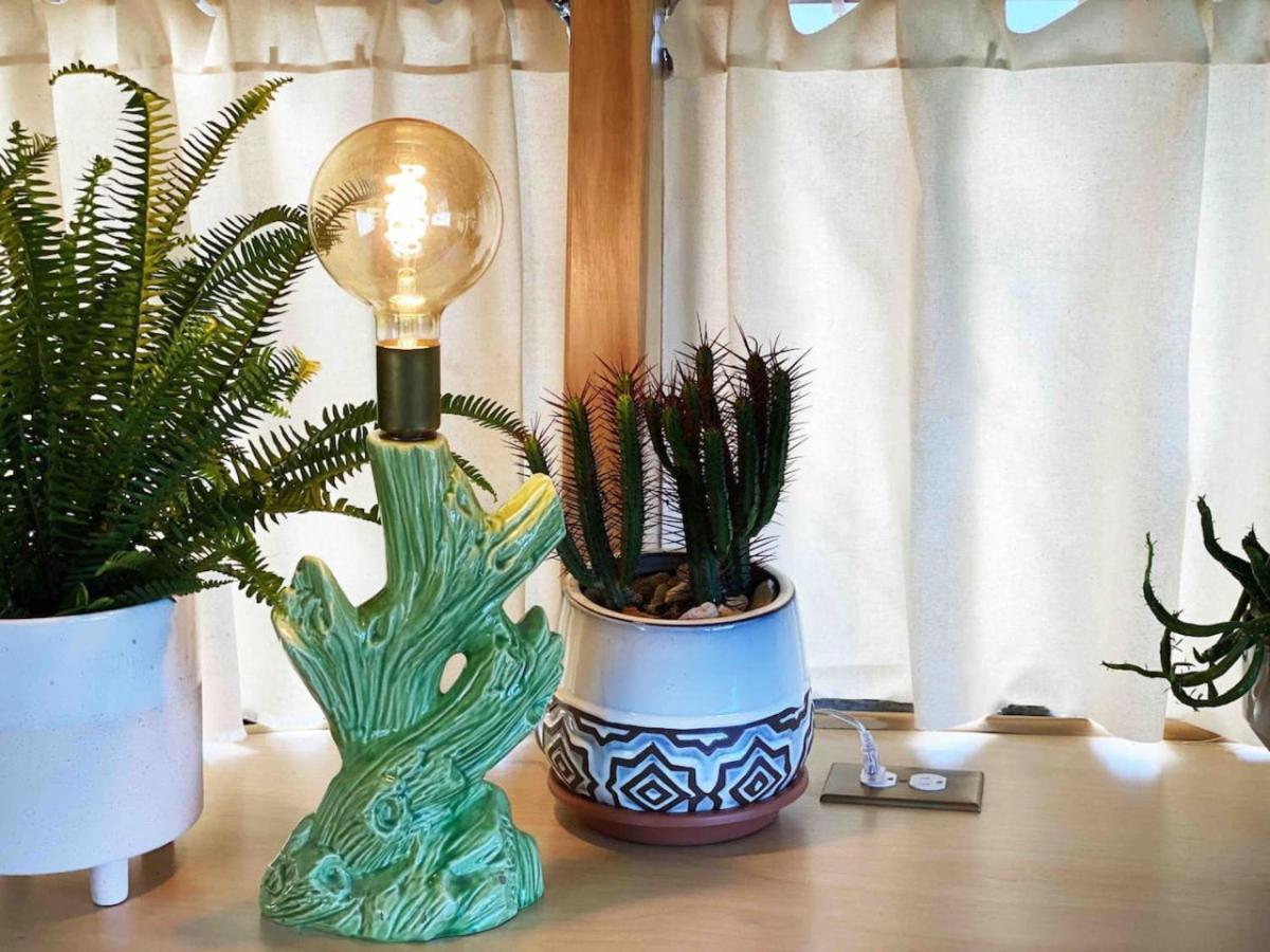 Renovated Spartan Voodoo Apartment