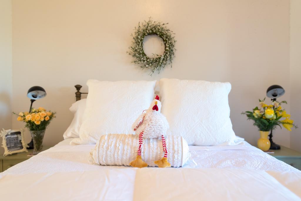 Bed & Breakfast The Rivery Retreat, Choose From Luxury Or In Hill Country 4*
