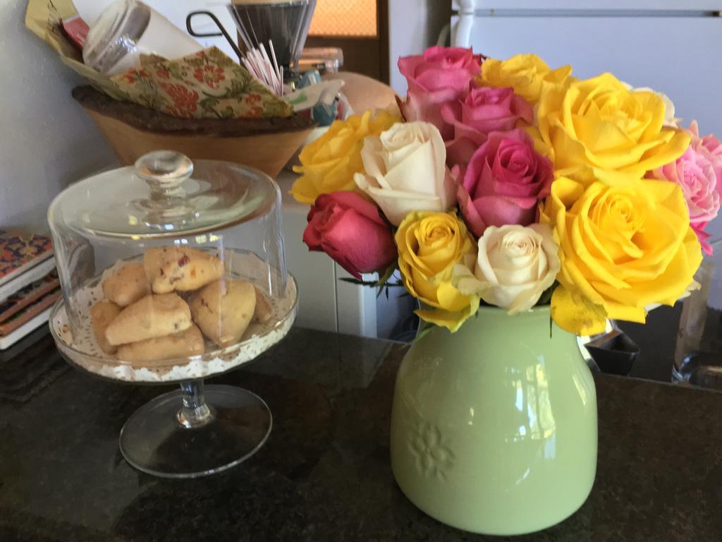The Rivery Retreat, Choose From Luxury Or In Hill Country Bed & Breakfast 4*