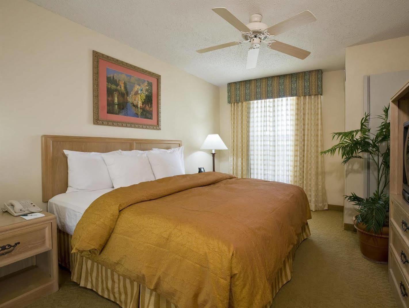 Homewood By Hilton South Austin