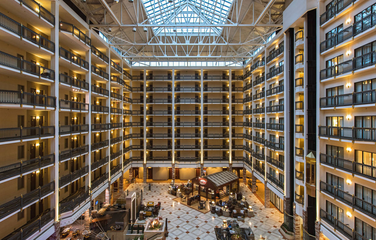 Hotel Renaissance 4*